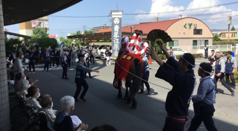 熊本秋の風物詩 藤崎宮例大祭飾馬がやって来ました！